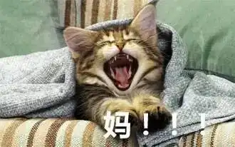 感觉这波表情包,不管什么时候都会一直火