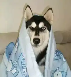 冷冷冷福州开启湿冷模式27号还有冷空气要来,我的天呐