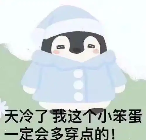 沙雕表情包就让我的爱情埋葬在这个冬天