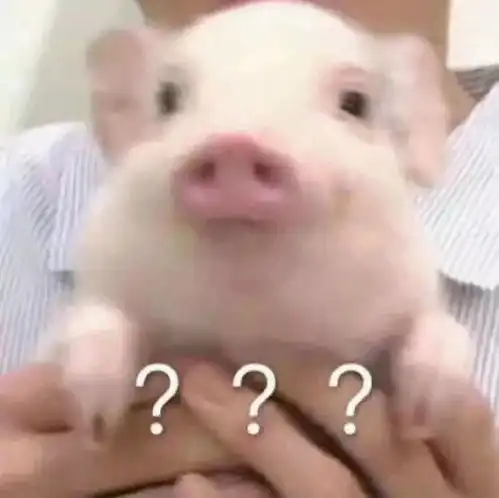 啪秘你见过最作的人有多作