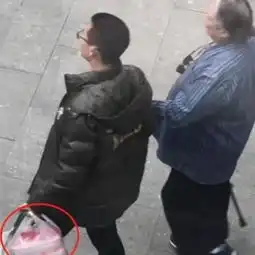 67岁洪金宝与妻子餐厅吵架手指娇妻表情凶悍,高丽虹脸色难看