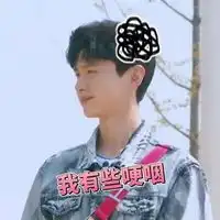 明星大侦探里的表情包