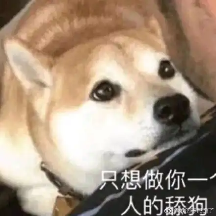 365bet体育app注册