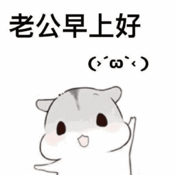 情侣聊天最实用小仓鼠表情包