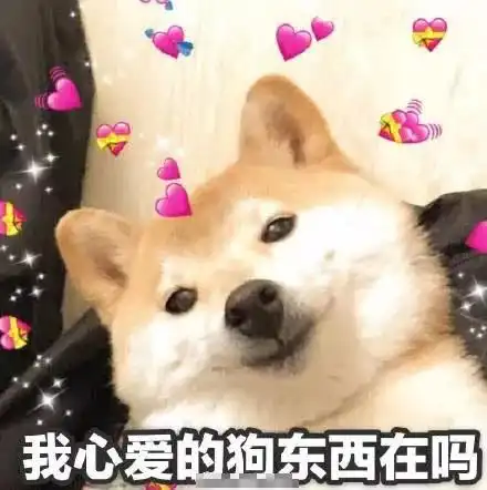 救命我笑到我妈让我滚去隔壁阿姨家吃饭哈哈哈哈哈哈哈