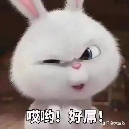 表情包作战恩宠