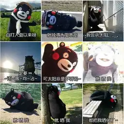 跑男雨露均沾体表情包下载跑男雨露均沾体qq表情包下载当易网