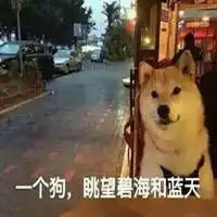 情侣秀恩爱表情包微信头像图片大全