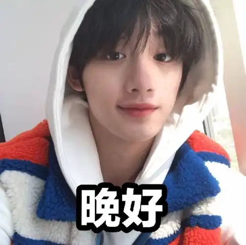 丁程鑫马嘉祺张真源宋亚轩贺峻霖严浩翔刘耀文初识你相信一见钟情嘛
