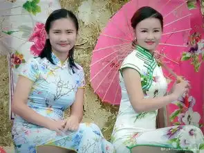 旗袍风韵过度执菜脚版pp