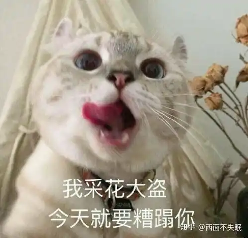 国货化妆品靠谱么有人用过吗