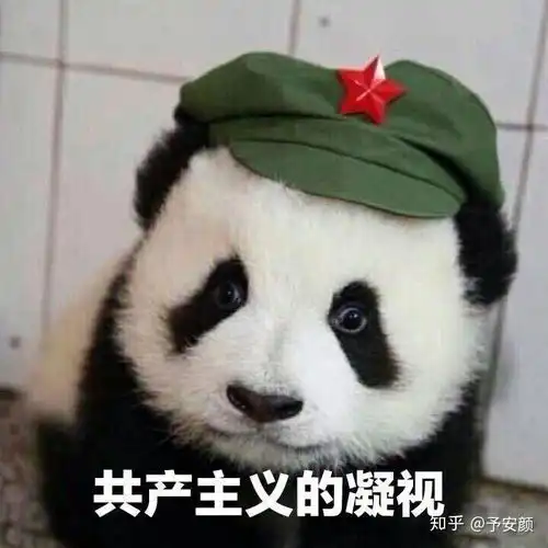 斗表情包斗搞笑熊猫