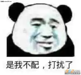 反盗图表情包表情