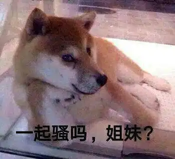 看你几时完