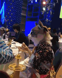 搞笑gif笑话真是只迷死人的妖精一颦一动,太勾人了吧