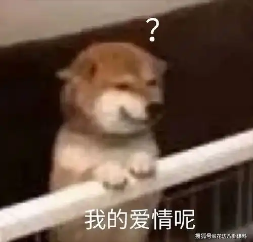 云裳传下背叛金主约会顶流惨遭报复险些凉凉的当红小花