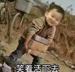 宋民国敬礼搞笑表情诛仙