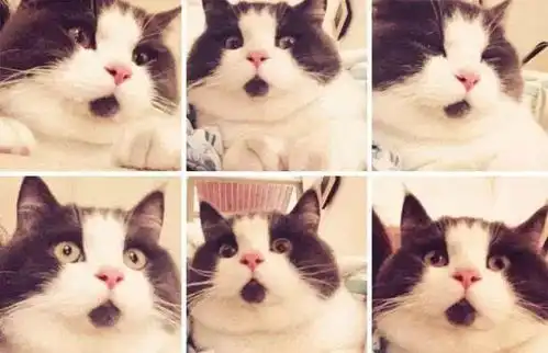 今天就干这一件事