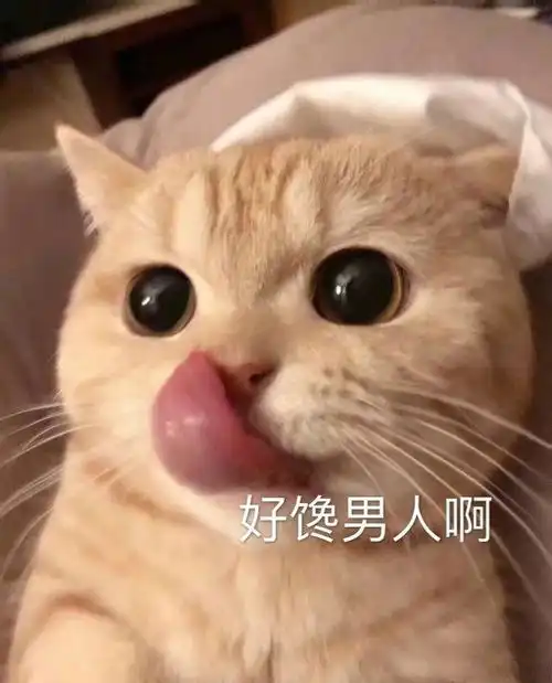 表情包搞笑沙雕动图头像