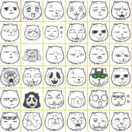 下图的熊叫什么