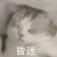 来进被窝表情包选题