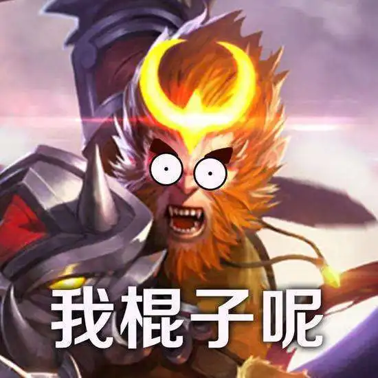王者荣耀搞笑表情包王者