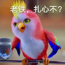 宇文玥宠物鹦鹉表情包下载宇文玥鹦鹉表情包下载飞翔下载