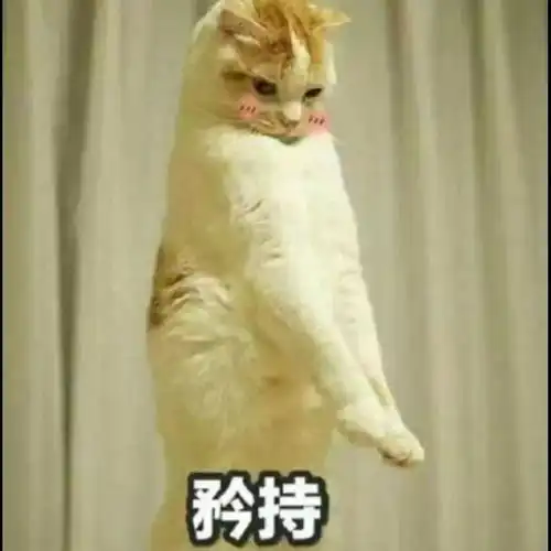 这家浪漫的仙女裙,精致又独特,气质满分
