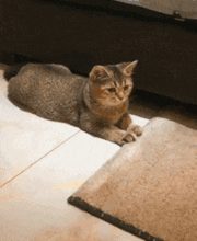 每日一笑现在的女生p图太过分了