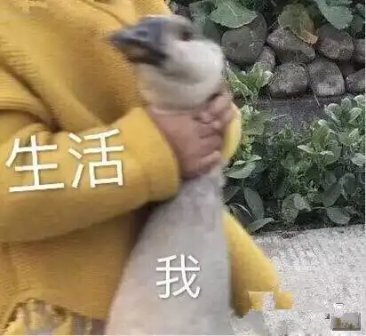 内江一秒入冬狂降17雨雨雨瑟瑟冷风,还有3个消息,看到最后一个...