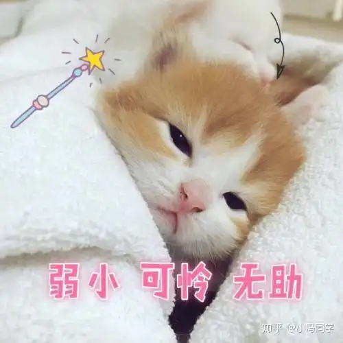 问题三细胞分裂前期dna数量为4n中的4n代表的意思是什么