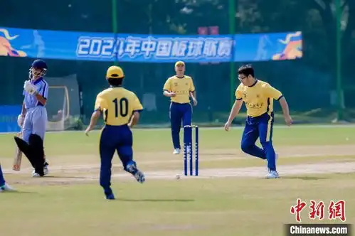 首届中国板球联赛在杭开赛亚运志愿者变身运动员