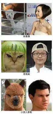 爆笑长的太像了惊呆了...