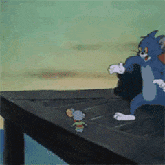 汤姆猫有趣表情包合集