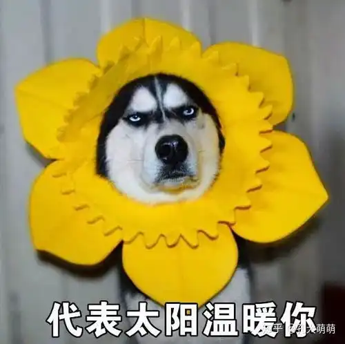 问一下,我健身可以一天分时间段来练习吗