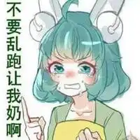 蔡文姬圣诞皮肤表情包表