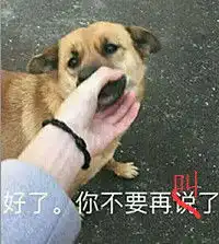 狗叫什么表情包