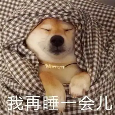 天冷不想起床的表情包过段时间就要遭受到被窝的绑架了