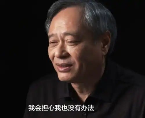 网络表情包用语李安