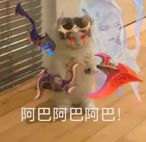 英雄联盟猫猫版英雄表情包六