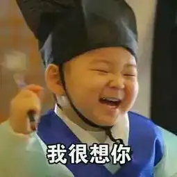 宋民国敬礼搞笑表情花钱