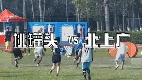 2018年10大团队飞盘赛场表情包,topmemesof2018ultimatefrisbee