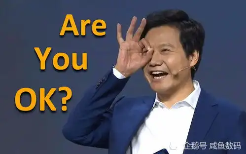 雷军拜年祝福来啦小米推出雷军表情包,一整套16枚,赶紧行动起来