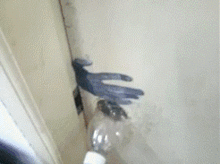 搞笑gif表情如此淋漓尽致,仿佛让人看到了演奏者灵魂深处的那份狂野