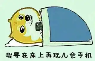 表情与斗图57被窝表情包