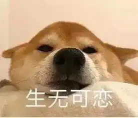 小学生面试官招募令你的外教,由你把关