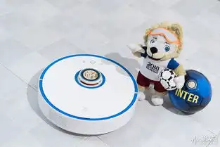 世界杯激战正酣让你的国际米兰版石头扫地机器人也加入战斗吧