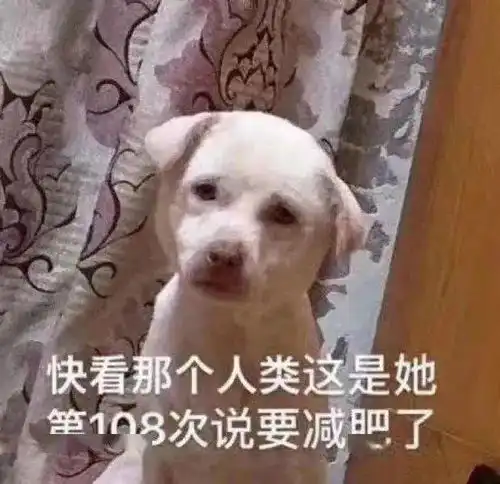 健忘图片表情包搞笑快上