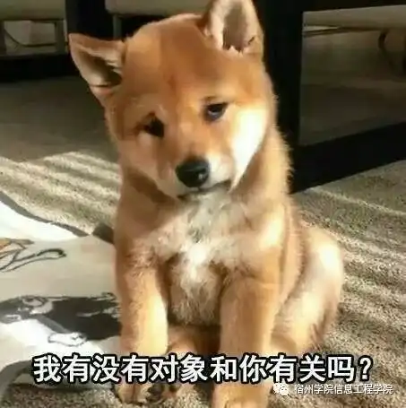 柴犬无力表情包