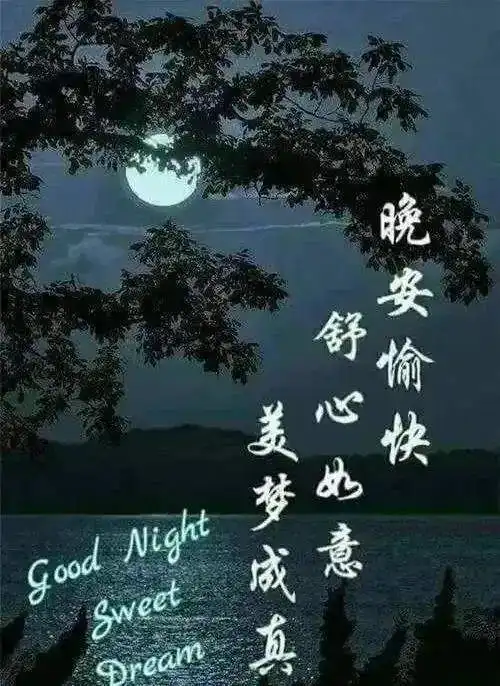 搞笑晚安表情动态图片晚